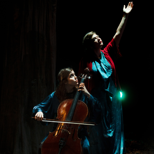 Affiche Birds on A Wire en concert au Centre Culturel Paul B